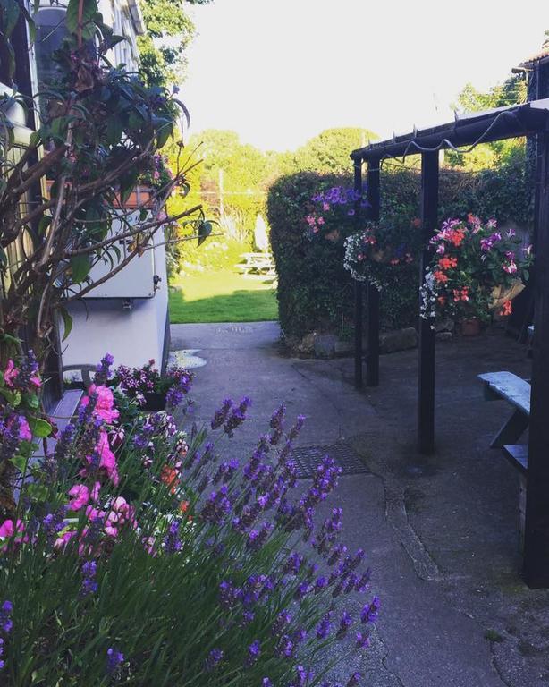 The Badger Inn Carbis Bay Eksteriør bilde
